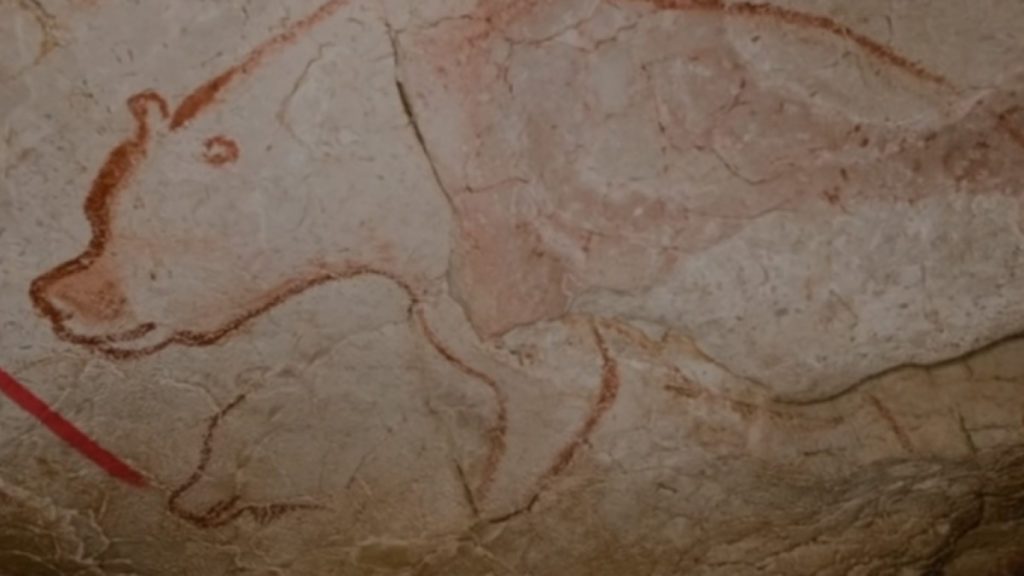Chauvet Cave Drawing