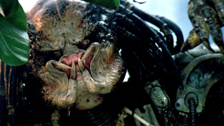 Predator 5 Is in the Works