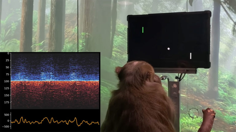 Elon Musk’s Neuralink Demonstrates Monkey Playing Pong with Its Mind