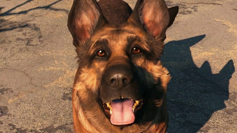 River, the Real-Life Dog Behind Fallout 4’s Dogmeat, Has Passed Away
